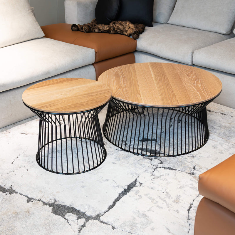 Eris Walnut Coffee Table